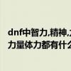 dnf中智力,精神,力量,體力各有什么作用?（DNF中智力精神力量體力都有什么用）