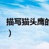 描寫貓頭鷹的外形（摘抄貓頭鷹的外形怎么寫）