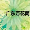 廣東萬花筒主要角色（廣東萬花筒業務）