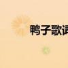 鴨子歌詞完整版（鴨子歌詞全文）