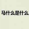馬什么是什么成語（馬什么什么馬什么成語）