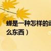 蟬是一種怎樣的動物有什么啟發（人們根據哪個蟬發明了什么東西）