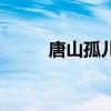 唐山孤兒院李小冉（唐山孤兒院）