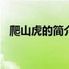 爬山虎的簡介100字（爬山虎的簡單資料）