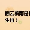 翻云覆雨是什么生肖答案?（翻云覆雨是什么生肖）