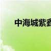 中海城紫鑫閣怎么樣（中海城紫鑫閣）