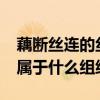 藕斷絲連的絲屬于什么區（藕斷絲連的“絲”屬于什么組織）