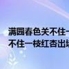 滿園春色關不住一枝紅杏出墻來上一句是什么（滿園春色關不住一枝紅杏出墻來的意思是什么）