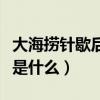 大海撈針歇后語下一句是啥（大海撈針歇后語是什么）