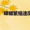 蟑螂繁殖速度多快（蟑螂繁殖速度有多快）