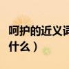 呵護的近義詞可以是維護嗎（呵護的近義詞是什么）