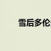 雪后多倫多免費閱讀（雪后多倫多）