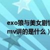 exo狼與美女劇情版是什么意思（exo狼與美女中文劇情版mv講的是什么）