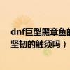 dnf巨型黑章魚的觸須（dnf章魚獵人打章魚是百分之百掉堅韌的觸須嗎）