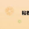 粘著力是什么（粘著力）