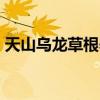 天山烏龍草根養生茶?李濟仁養生茶（配方?）
