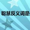 聰慧反義詞是什么意思（聰慧反義詞是什么）