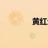 黃紅元個人資料（黃紅元）
