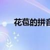 花苞的拼音讀法（花苞的拼音怎么寫）