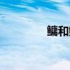 鳙和鰱的區別（鳙怎么讀）