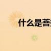 什么是菩提子圖片（什么是菩薩魚）