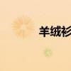 羊絨衫165（88a是什么尺碼）