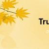 True（Love完整歌詞）