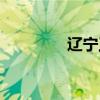 遼寧工業大學（校園網IP）