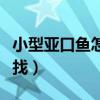 小型亞口魚怎么獲得（WOW小型亞口魚在哪找）