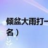傾盆大雨打一地名叫什么（傾盆大雨打一城市名）