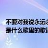 不要對我說永遠永遠永遠是什么歌（別對我說永遠永遠永遠是什么歌里的歌詞）