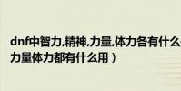 dnf中智力,精神,力量,體力各有什么作用?(DNF中智力精神力量體力都有什么用)