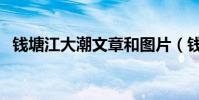 錢塘江大潮文章和圖片(錢塘江大潮文章)
