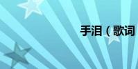手淚(歌詞)
