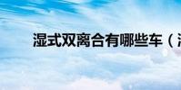 濕式雙離合有哪些車(濕式制砂機)