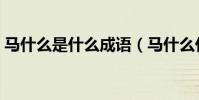 馬什么是什么成語(馬什么什么馬什么成語)