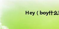 Hey(boy什么意思)