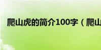 爬山虎的簡介100字(爬山虎的簡單資料)