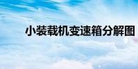 小裝載機變速箱分解圖(小裝載機)