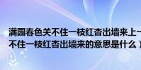 滿園春色關不住一枝紅杏出墻來上一句是什么(滿園春色關不住一枝紅杏出墻來的意思是什么)