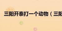三陽開泰打一個動物(三陽開泰打一生肖)