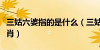 三姑六婆指的是什么(三姑六婆指的是什么生肖)