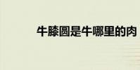 牛膝圓是牛哪里的肉(牛膝圓)