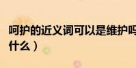 呵護的近義詞可以是維護嗎(呵護的近義詞是什么)