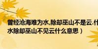 曾經滄海難為水,除卻巫山不是云.什么意思(曾經滄海難為水除卻巫山不見云什么意思)