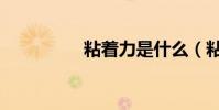 粘著力是什么(粘著力)