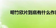明竹欣片到底有什么作用(明竹欣)