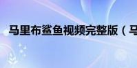 馬里布鯊魚視頻完整版(馬里布鯊魚攻擊)