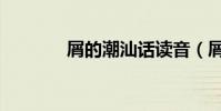 屑的潮汕話讀音(屑的拼音)