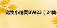 寵物小精靈BW23(24集什么時候可以)